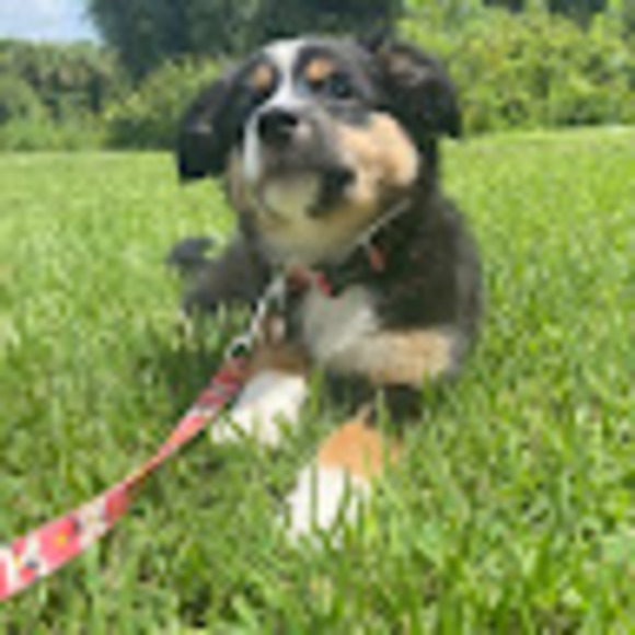 Meet your Posher, Kaitlyn - Picture 1 of 1